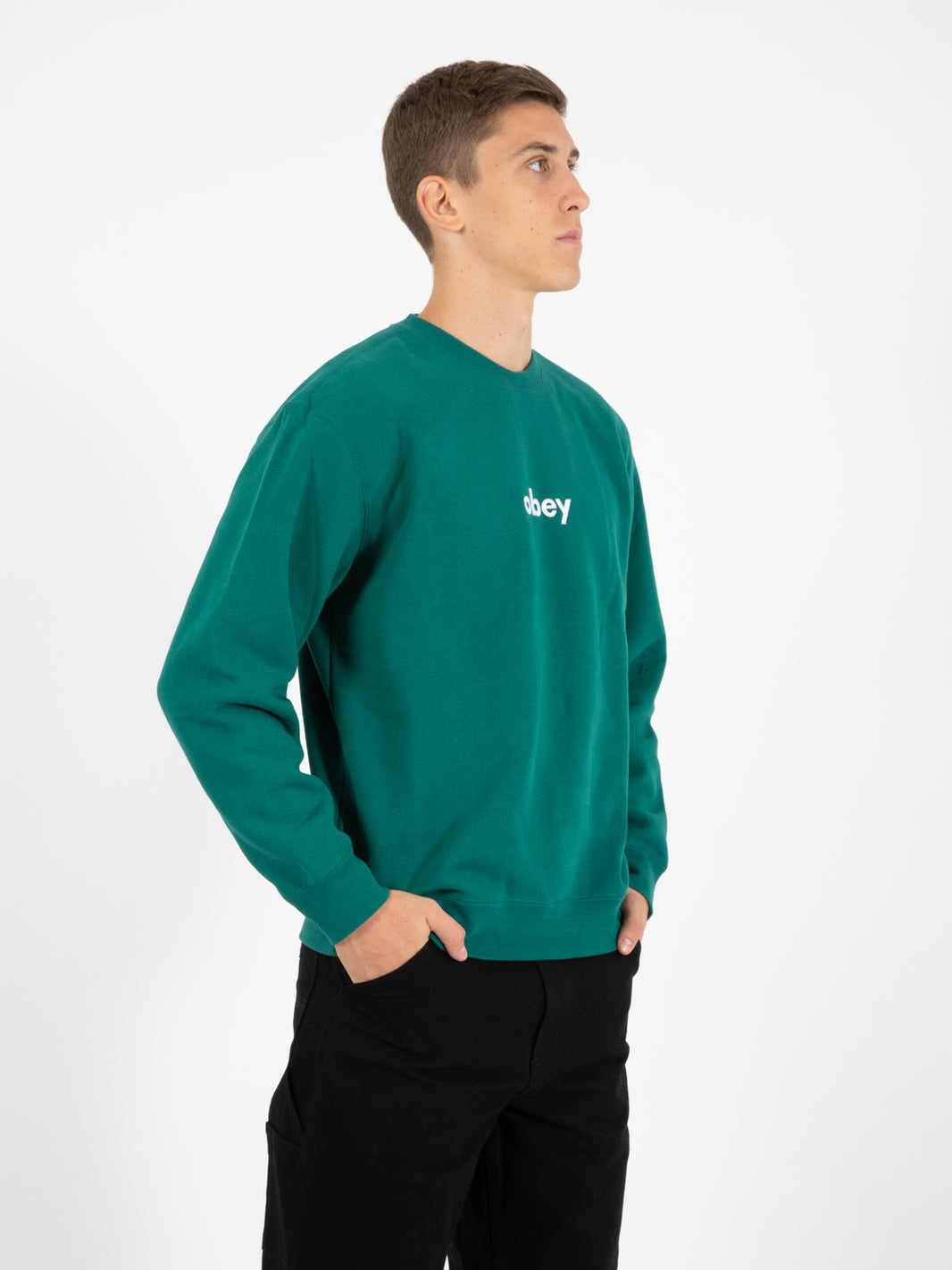 Lowercase crew adventure green sweatshirt