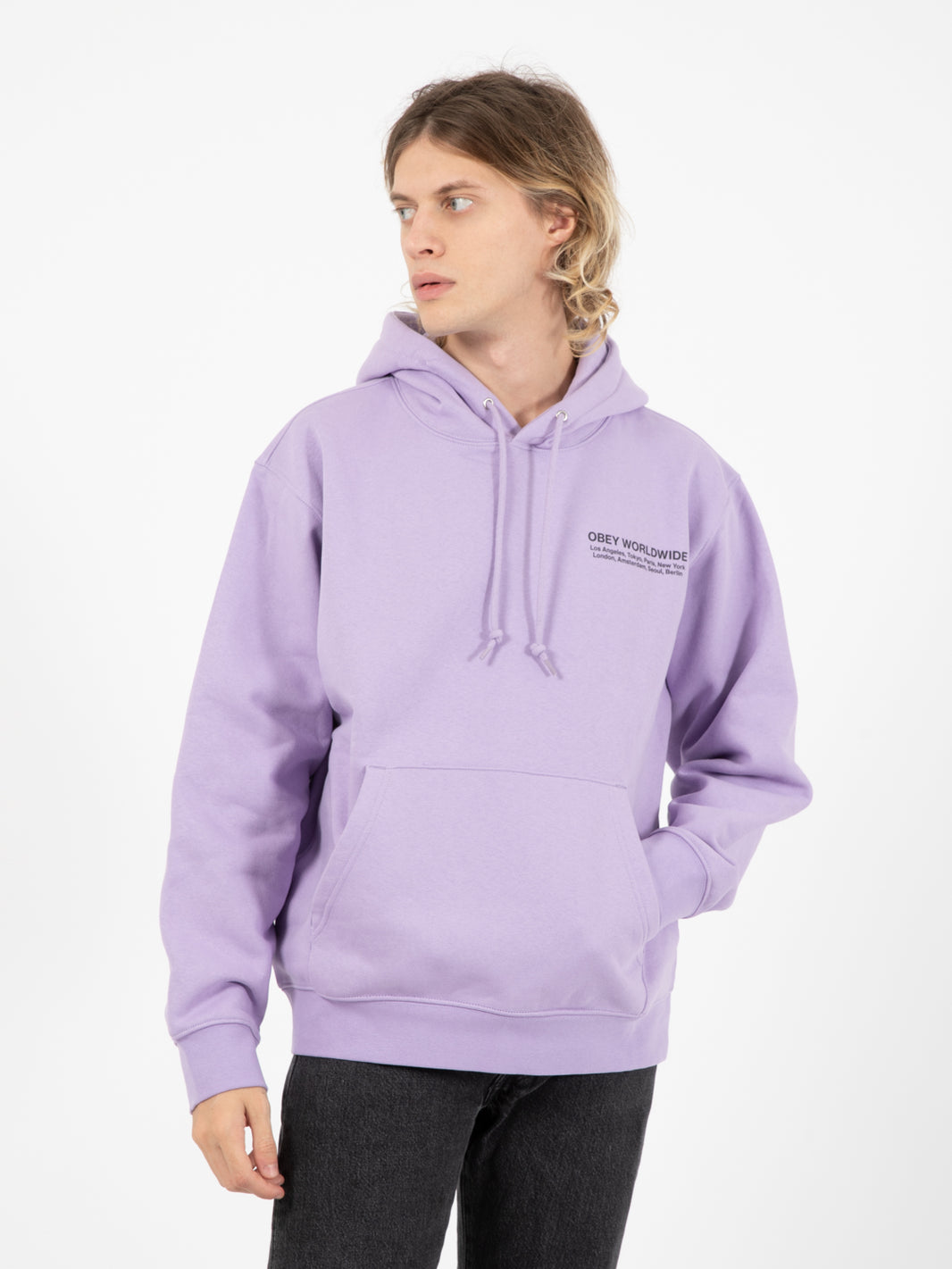 Felpa Worldwide cities premium hooded fleece digital lavender