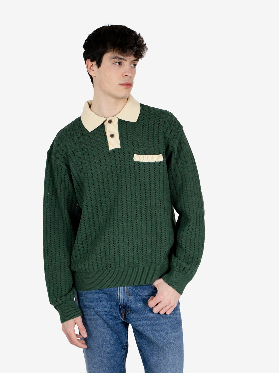 Jasper polo sweater pine needle multi
