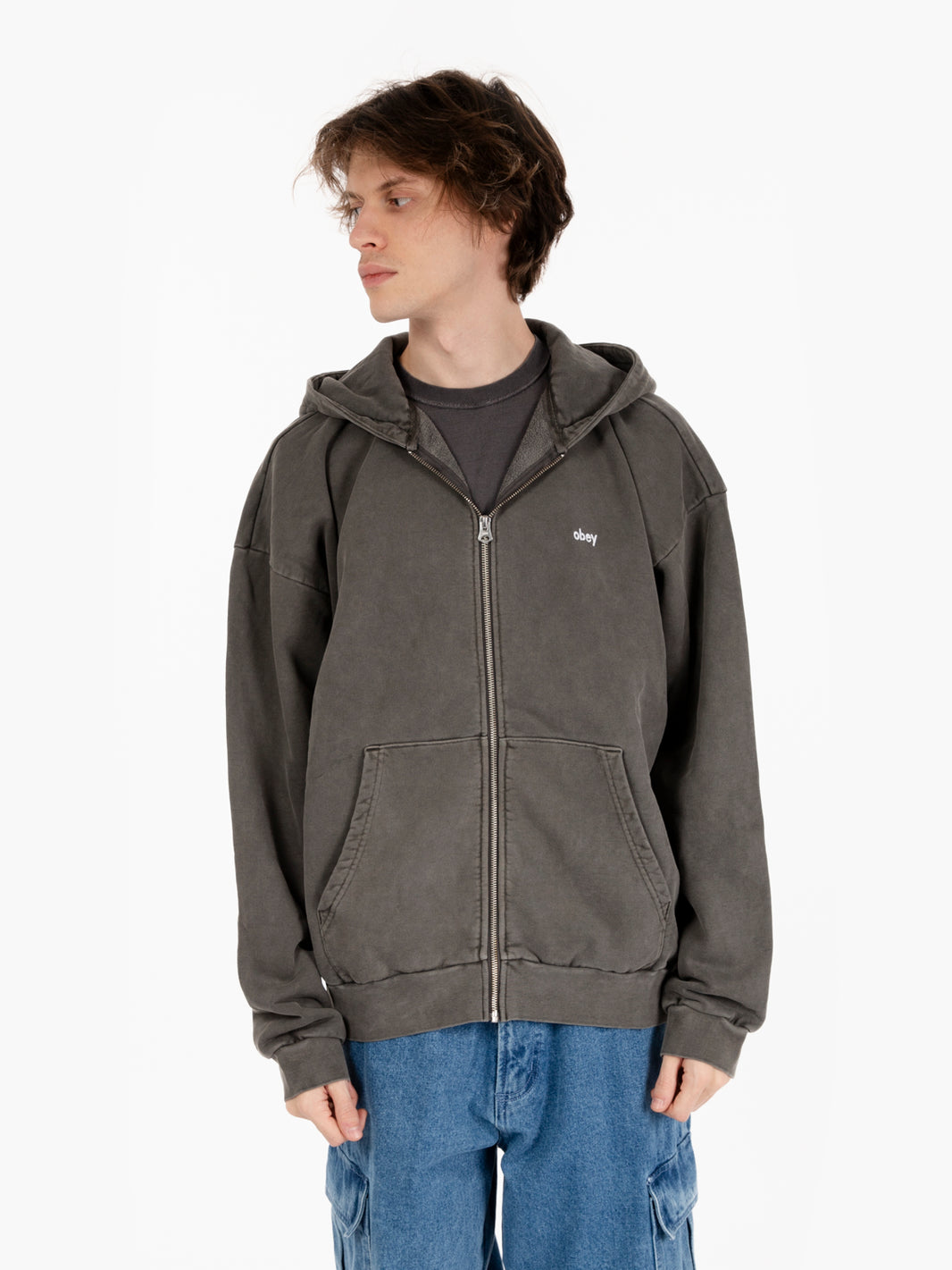 Lowercase pigment zip hood fleece grey