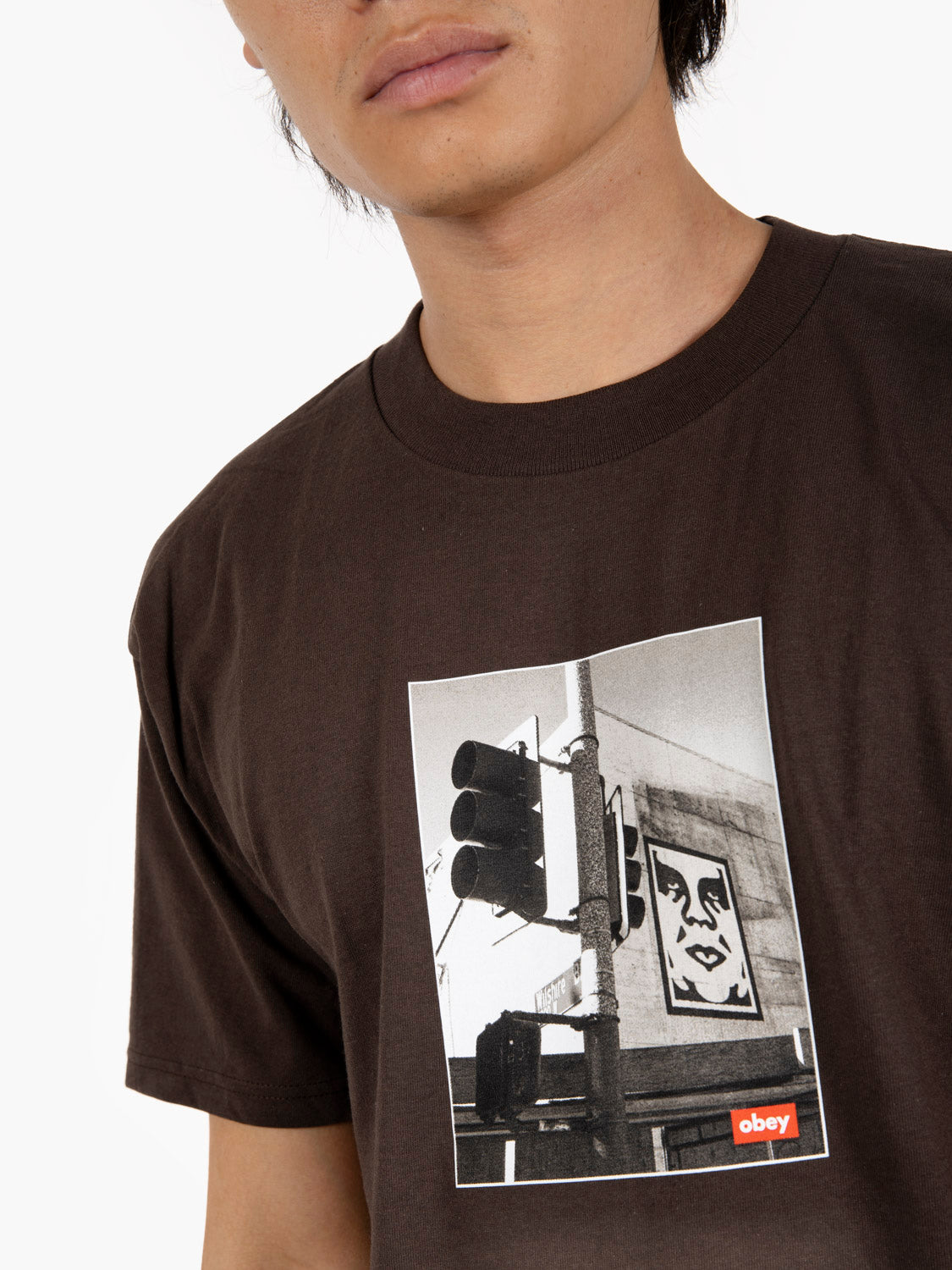 S/S Los Angeles photo tee java brown