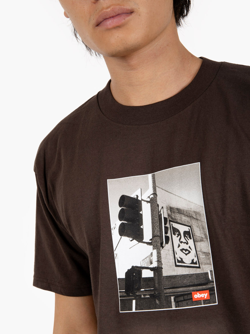 S/S Los Angeles photo tee java brown