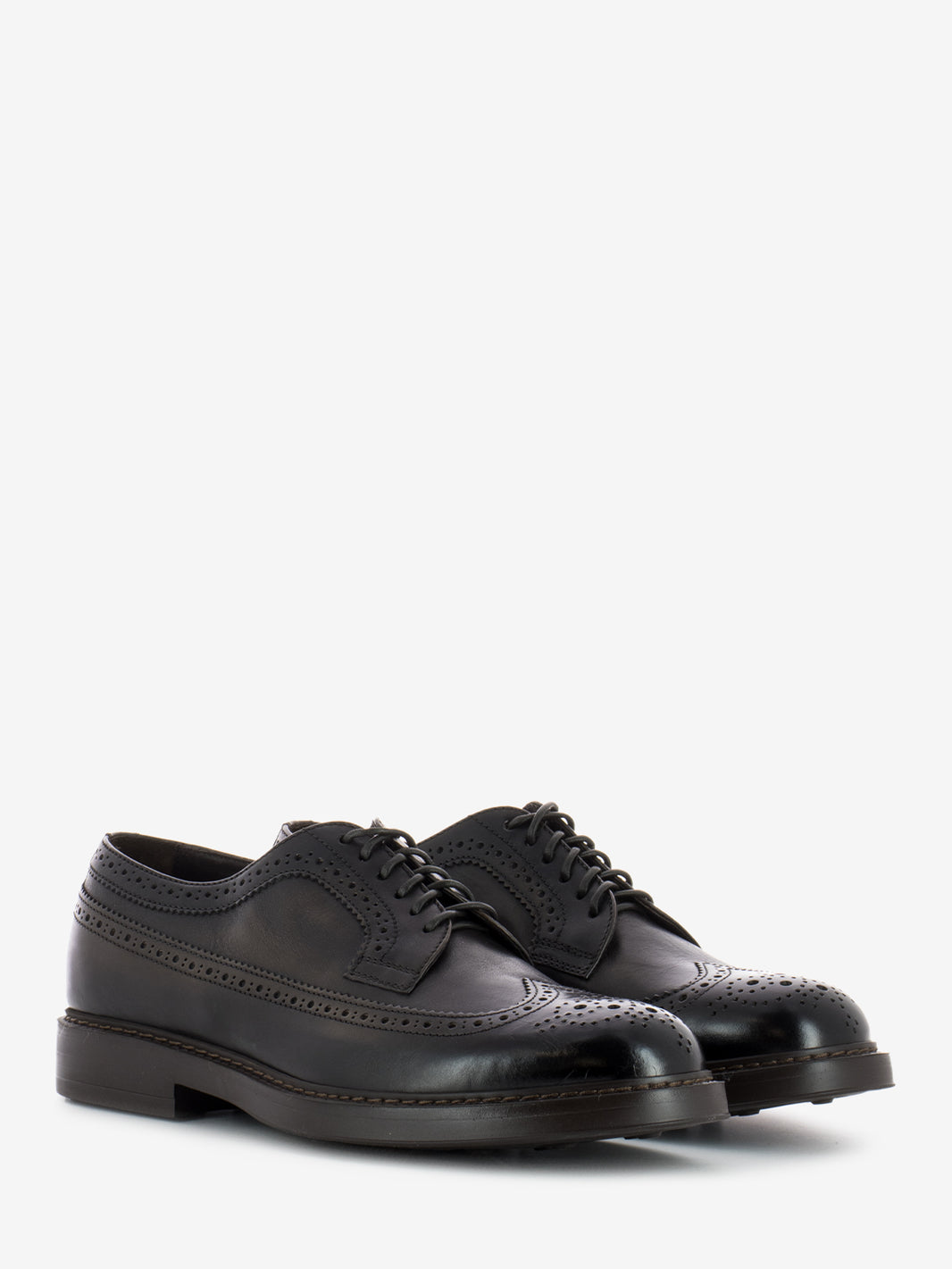 Derby swallowtail dark brown