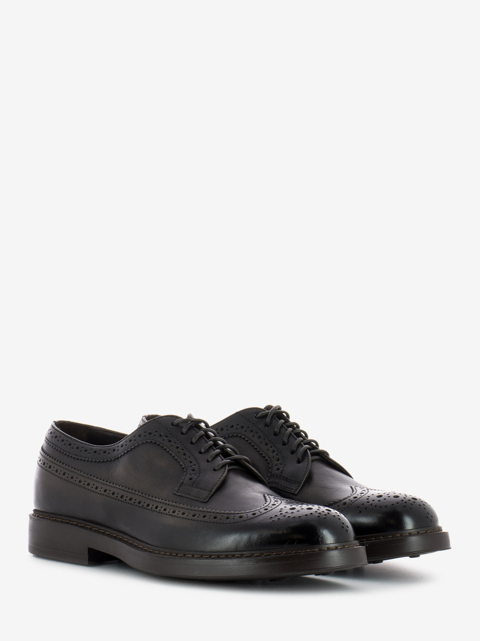 Derby swallowtail dark brown