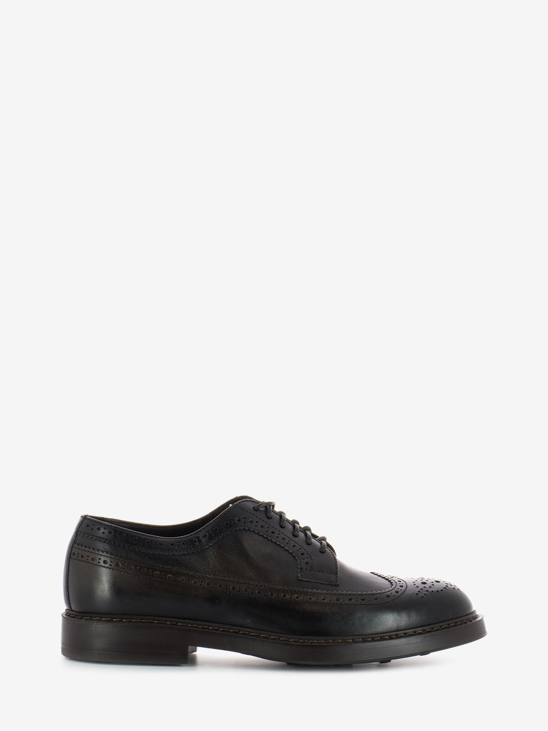 Derby swallowtail dark brown