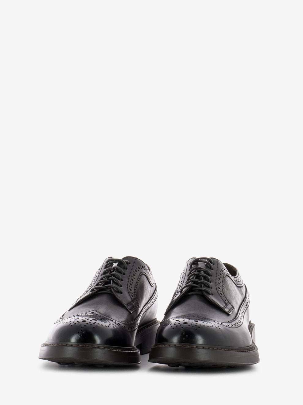 Derby swallowtail dark brown
