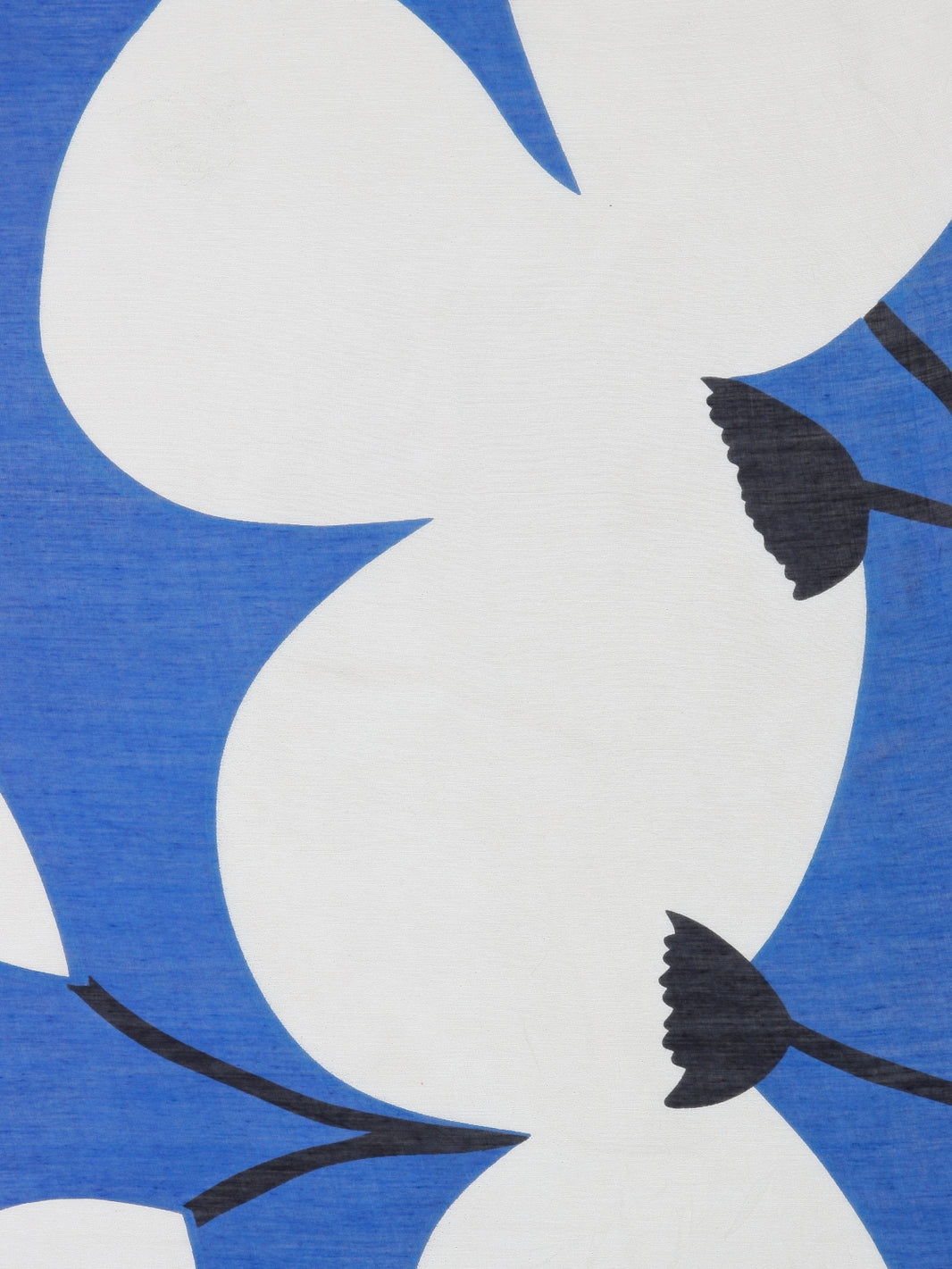 Pashmina Edimburgo blu