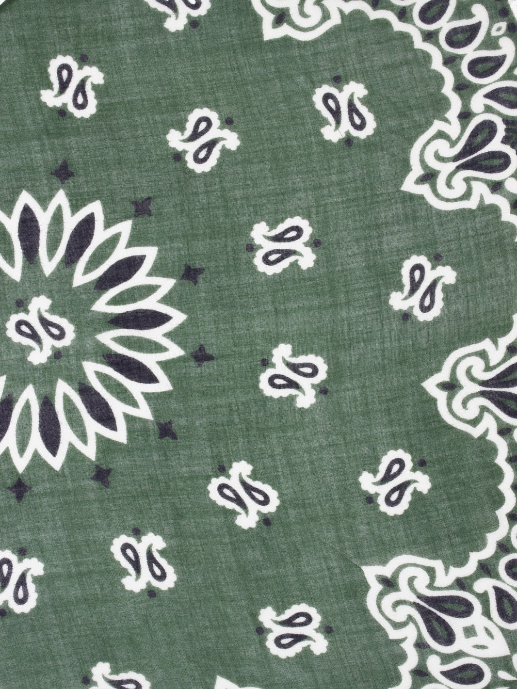 Green Fiorancio wool scarf