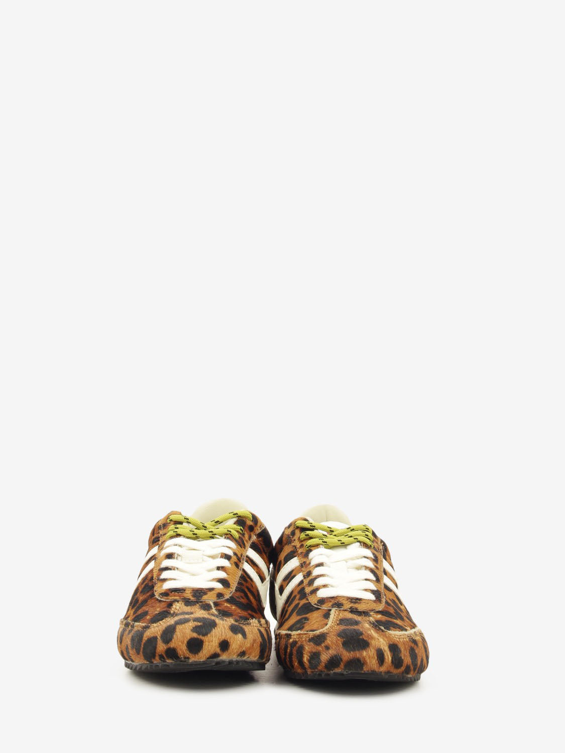 Sneakers Racer 77 leo / ivory