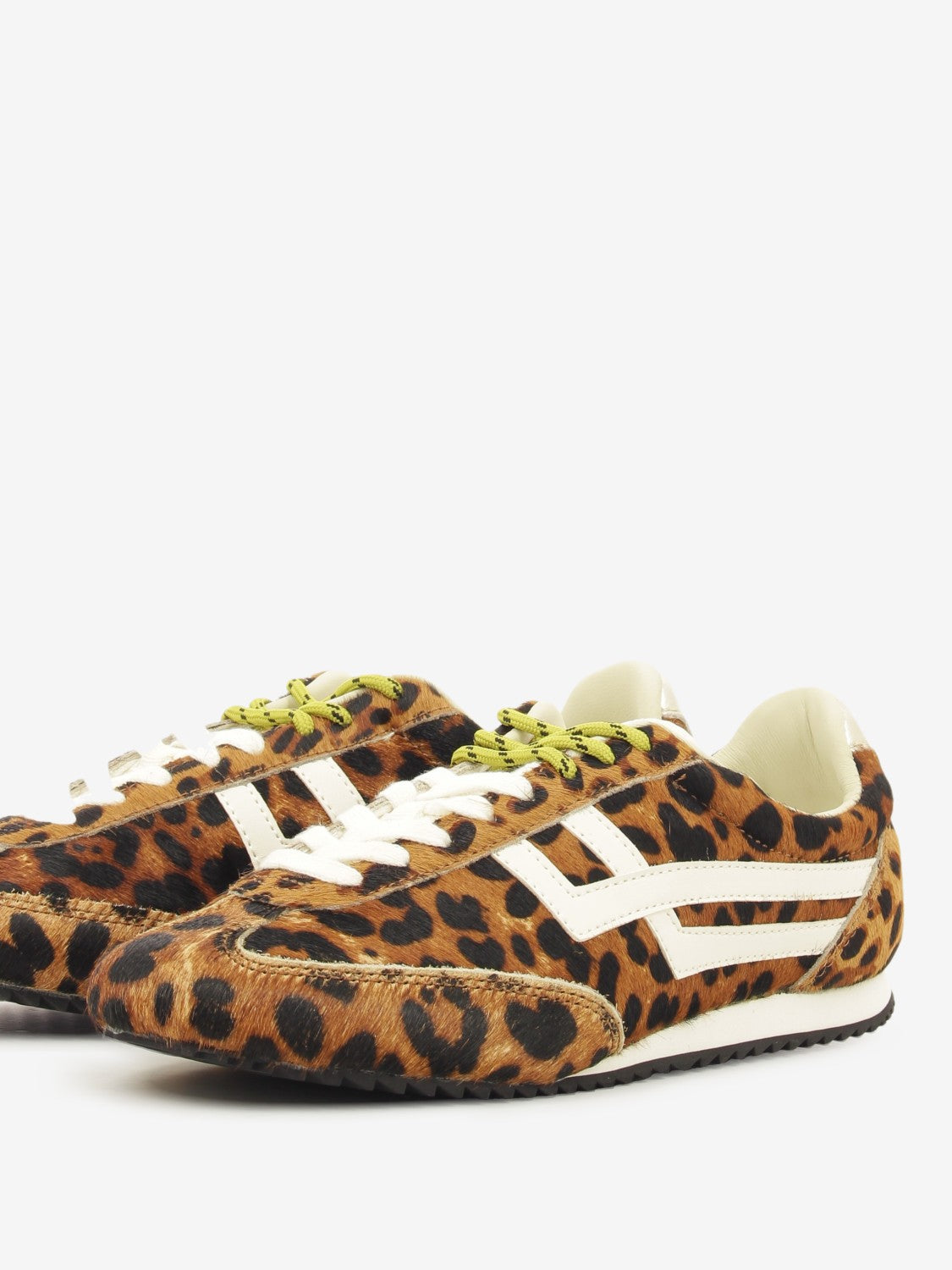 Sneakers Racer 77 leo / ivory