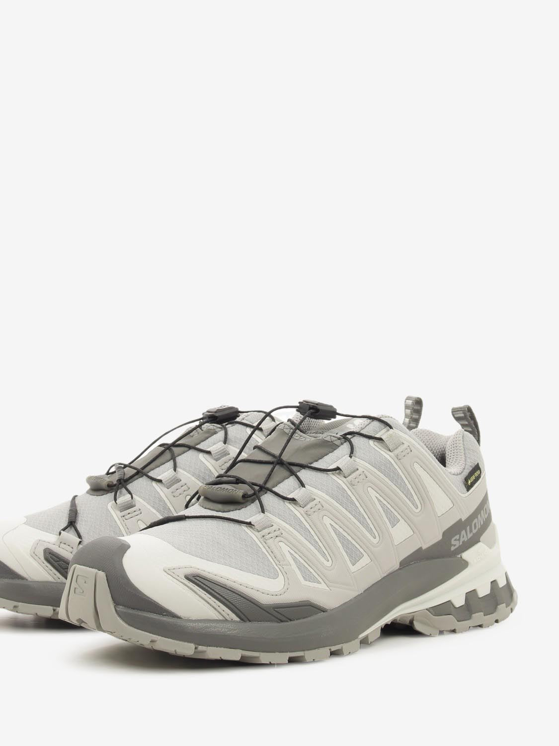 XA Pro 3D V9 GTX W alloy / castelrock / lunar rock