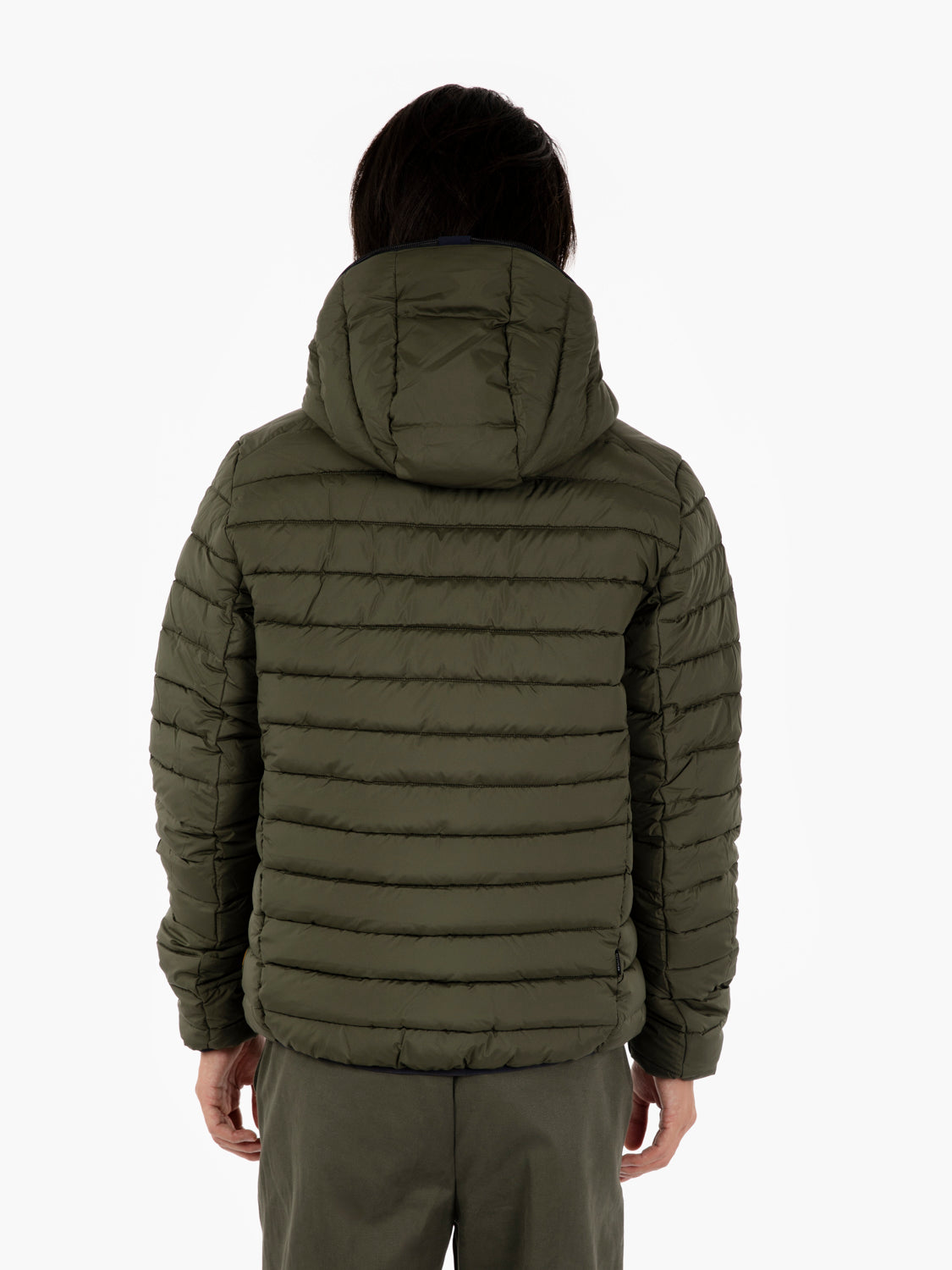 Hooded jacket Ezra navy / green