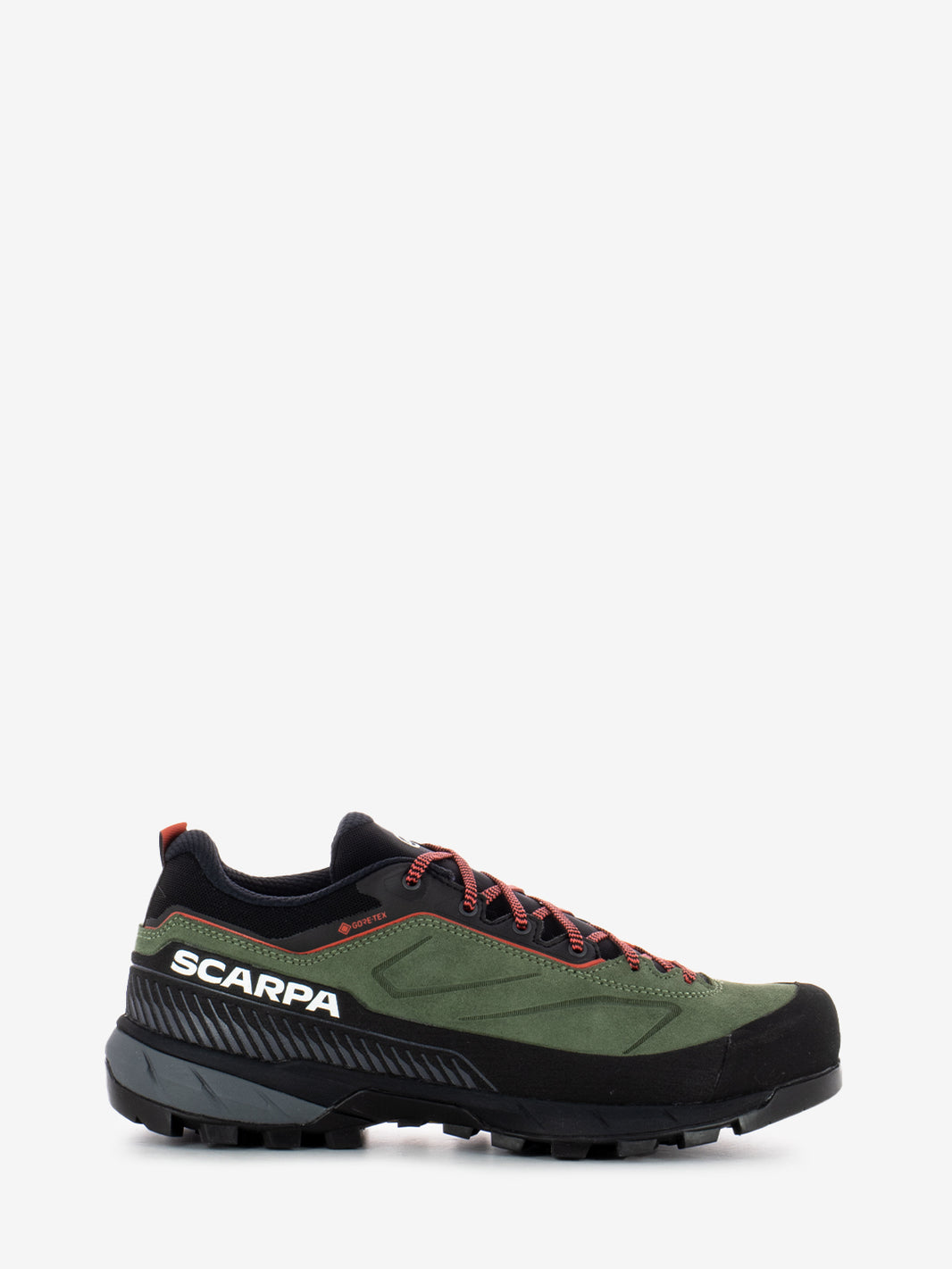 Rapid XT GTX birch / coral