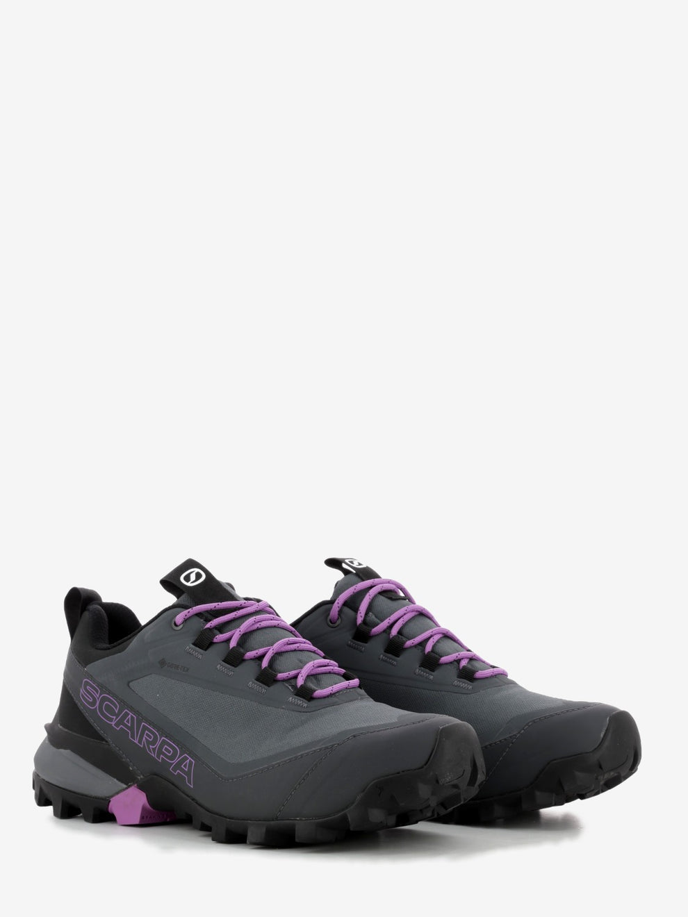 Rebelle Cross 2 GTX dark gray / purple