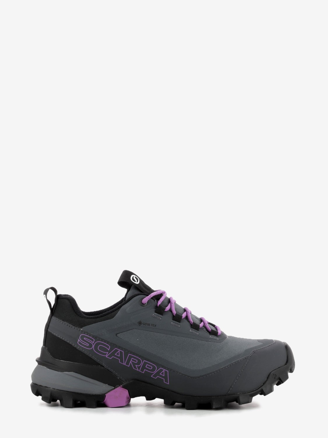 Rebelle Cross 2 GTX dark gray / purple
