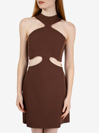 Phoenix dress brown