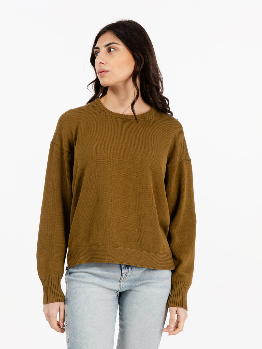 Crewneck sweater in oil green cotton