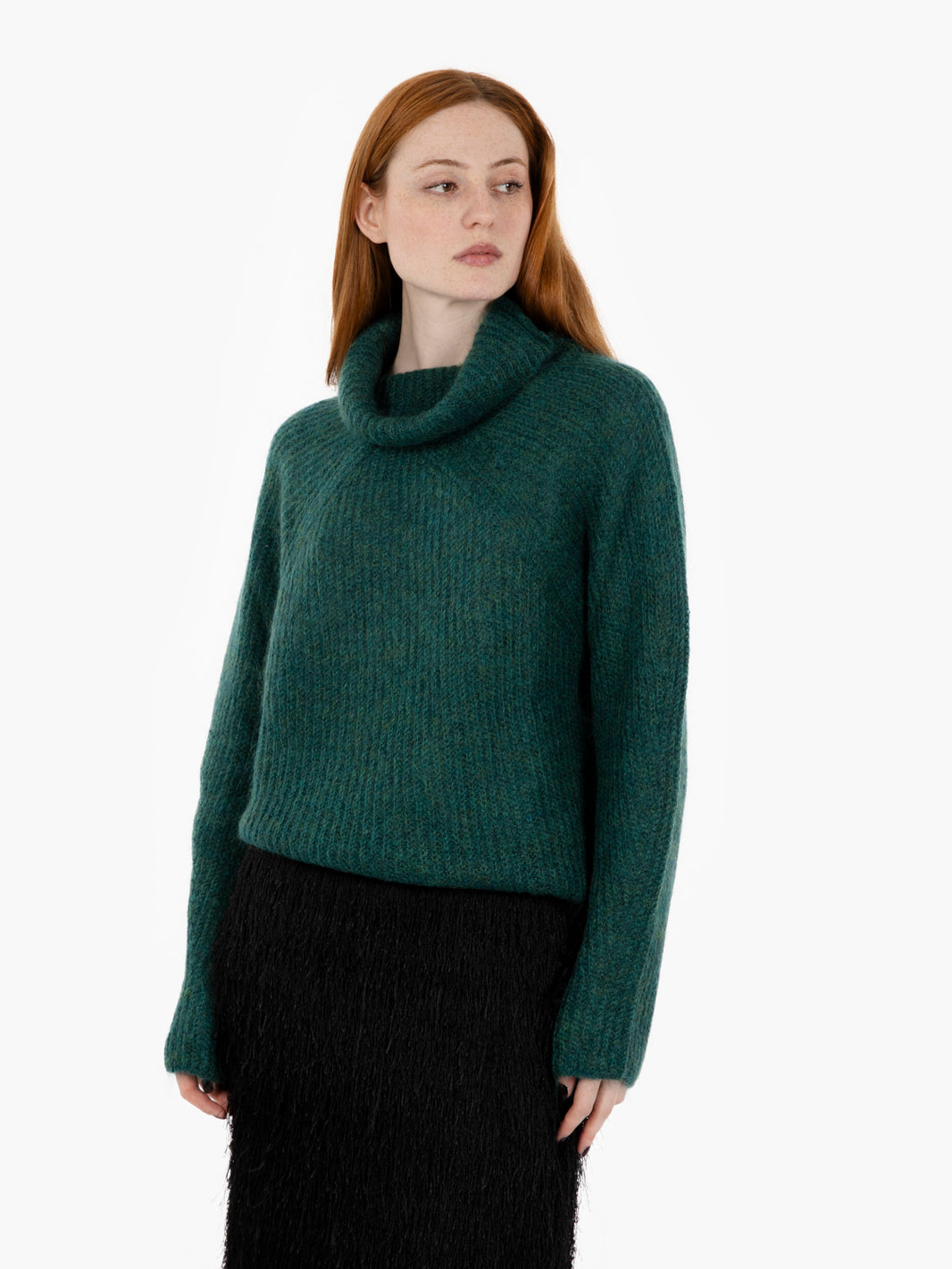 Bottle Mohair Turtleneck Sweater