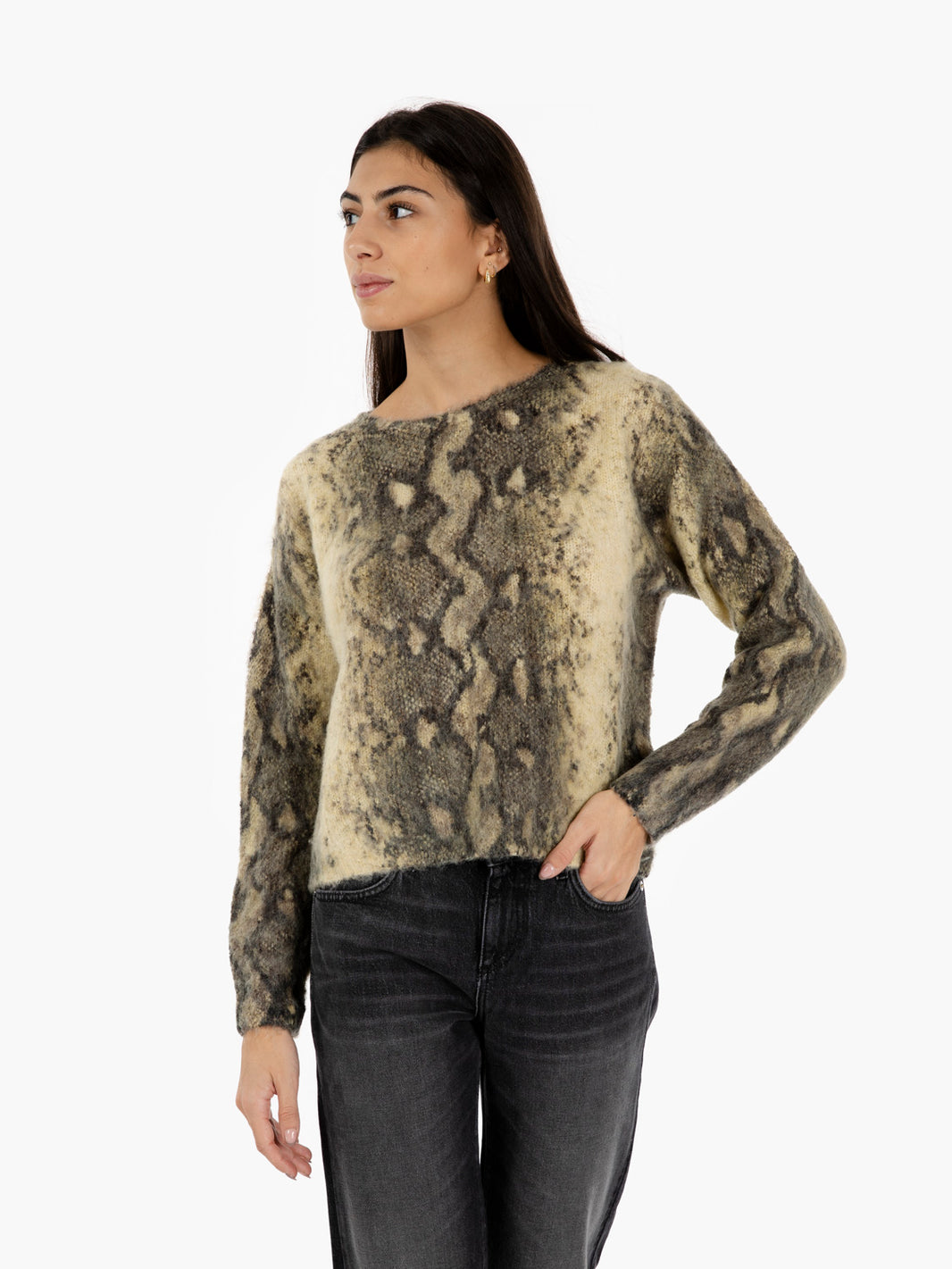 Maglione girocollo stampa pitone multicolor