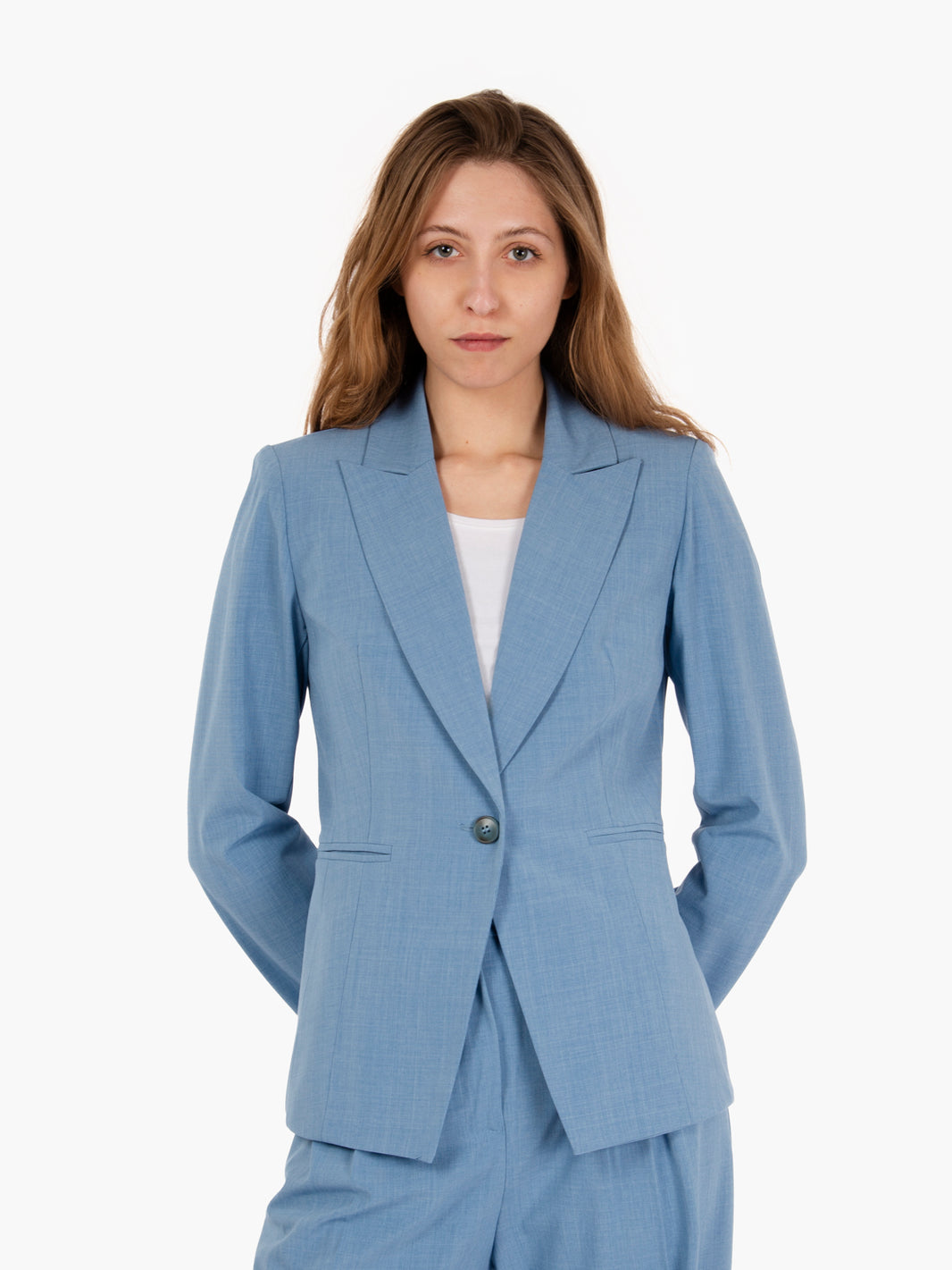 Blazer avvitato polvere