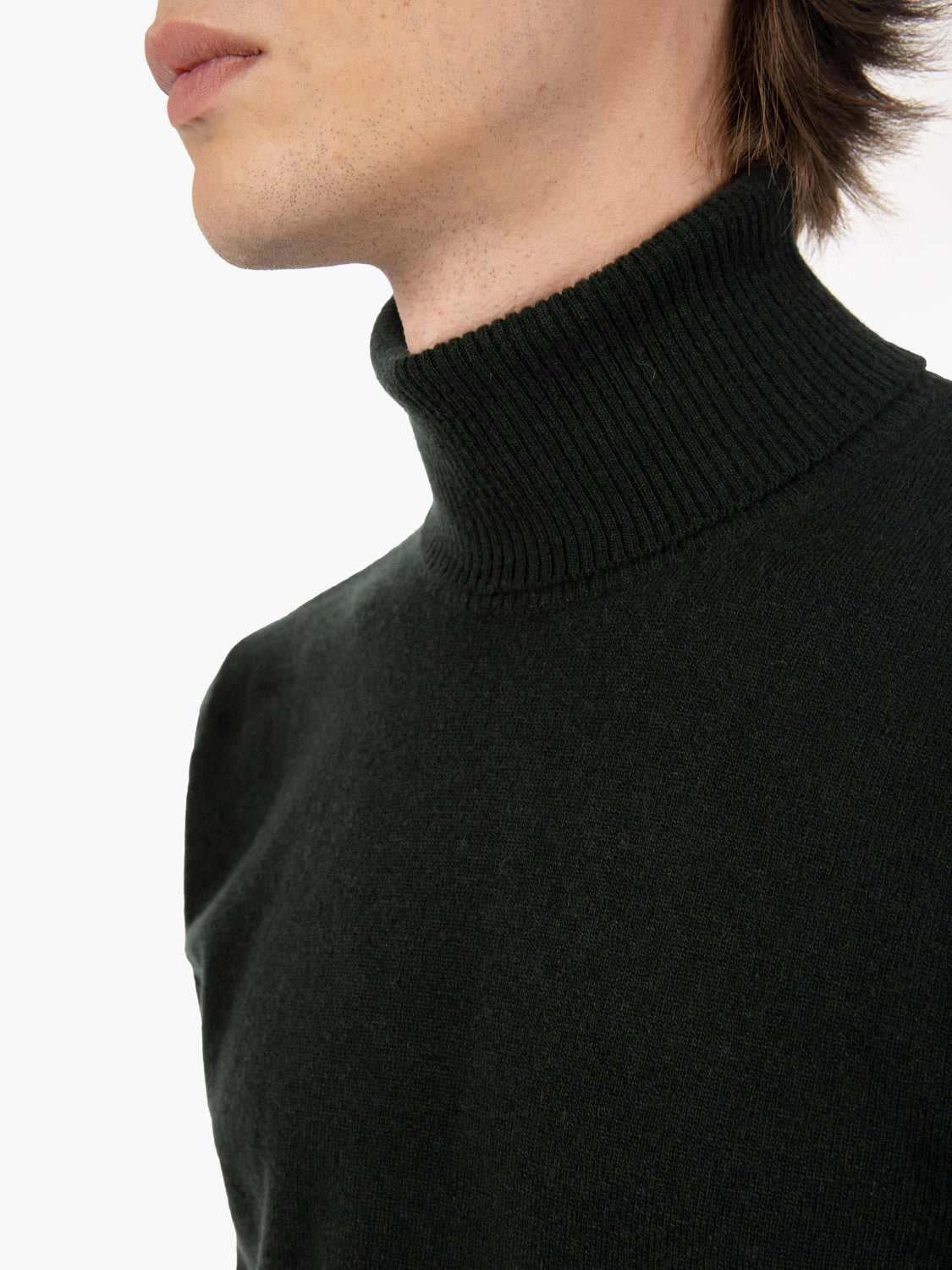 Turtleneck in merino wool and cashmere pine