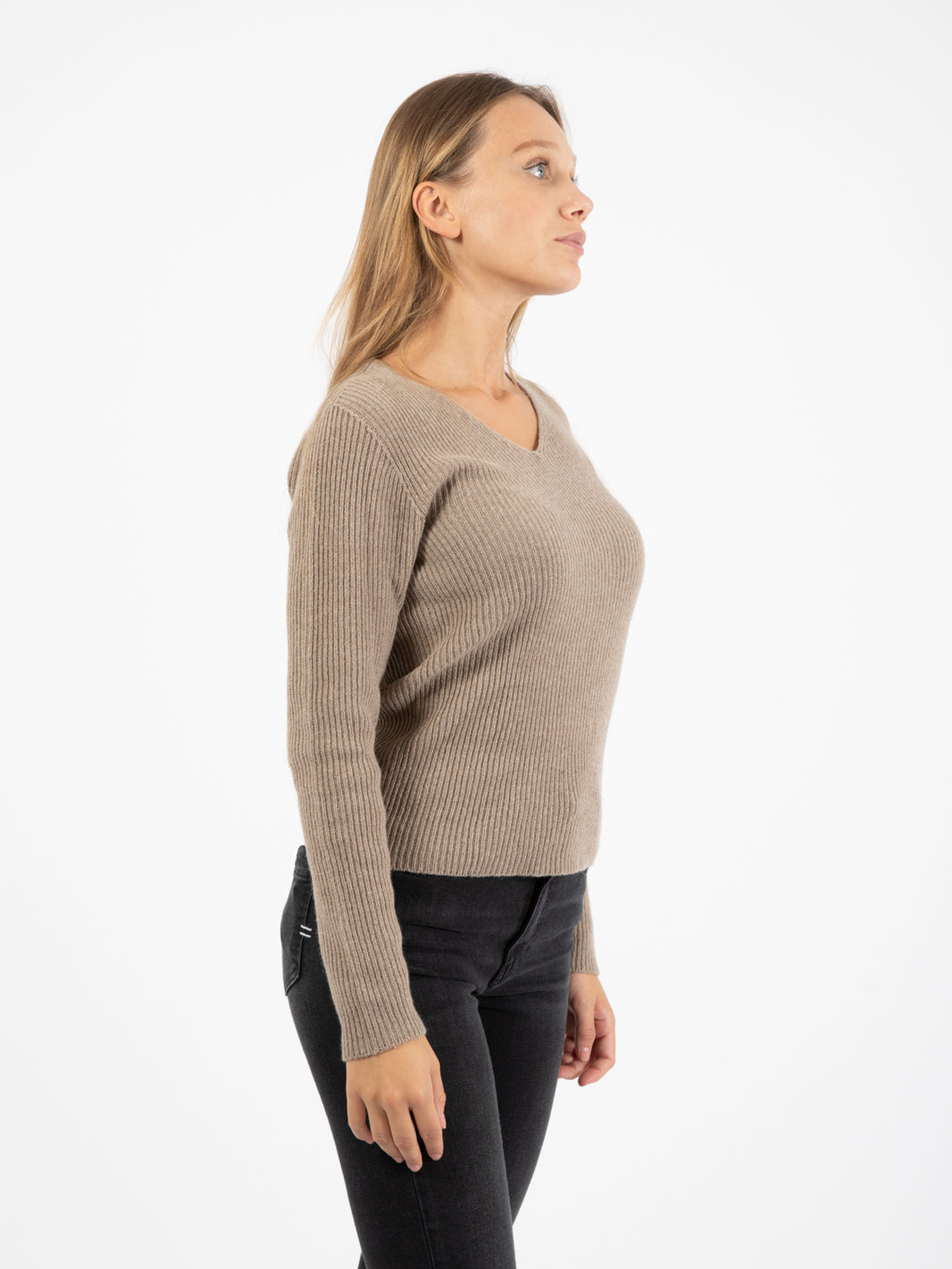 Beaver V-Neck Ribbed Sweater