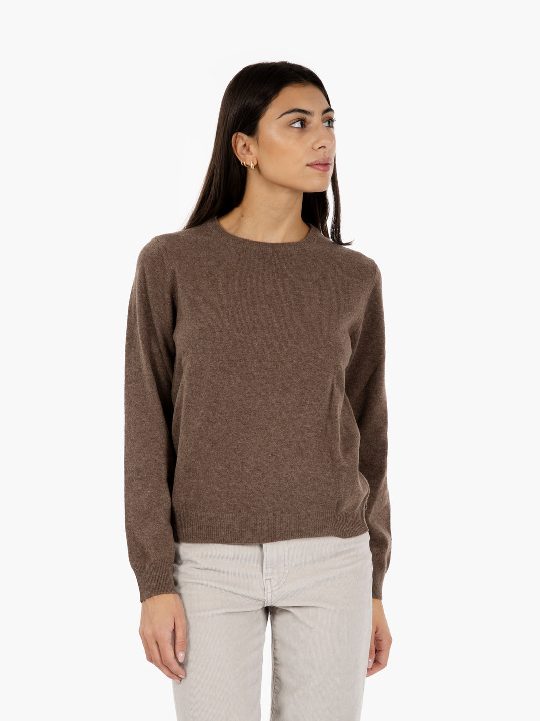 Chestnut merino crew neck sweater