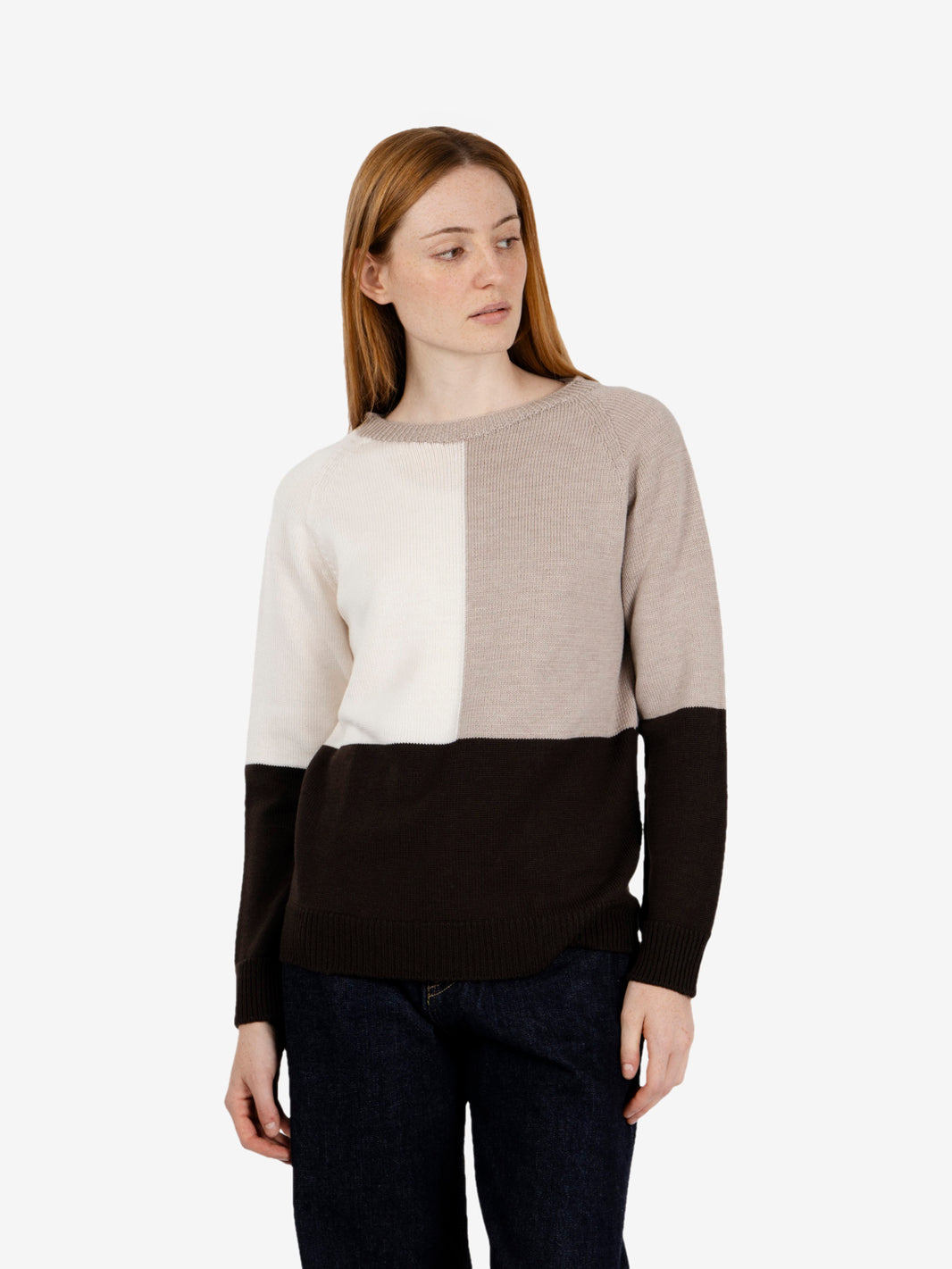 Dark brown / beige crew neck sweater