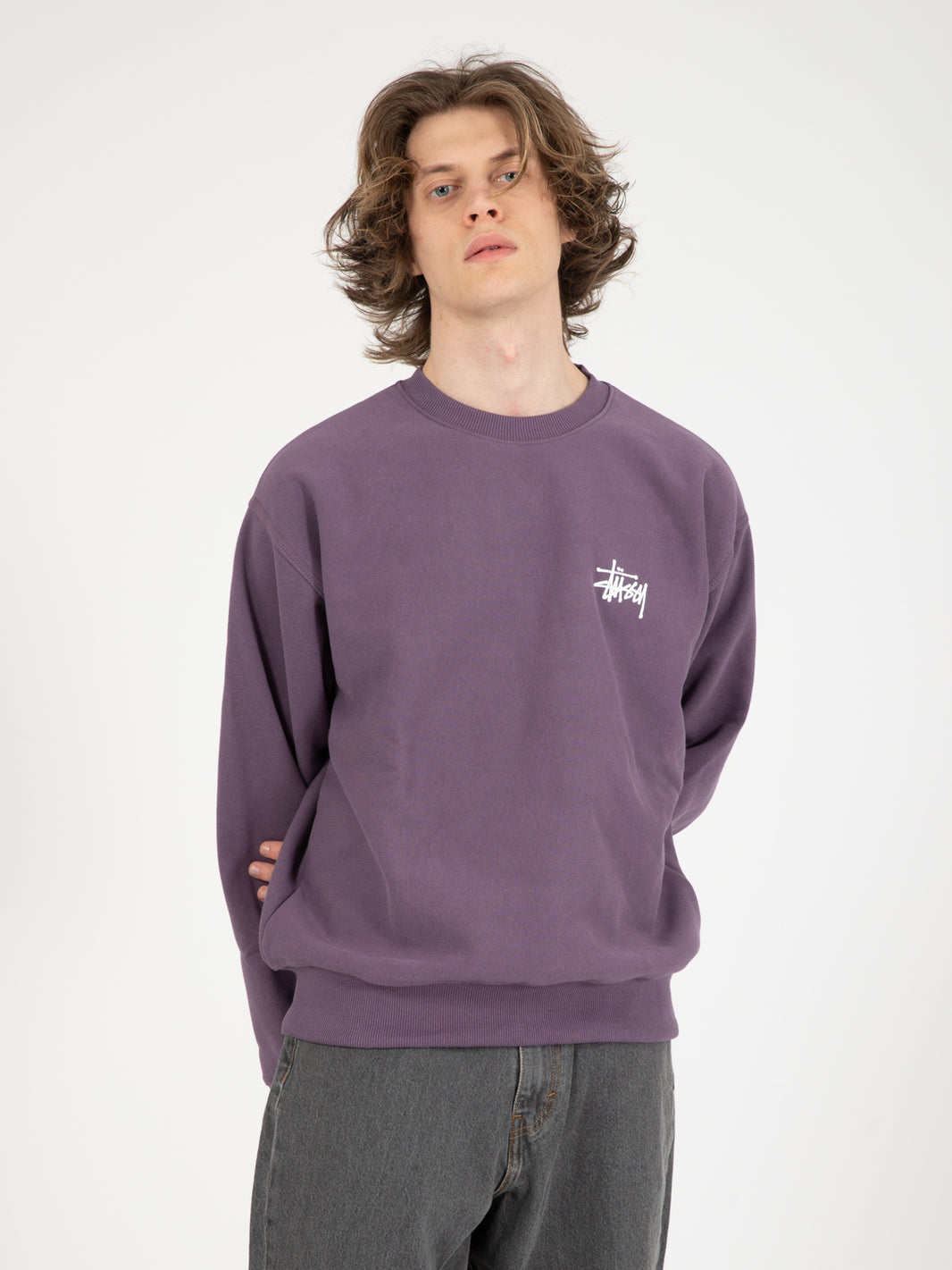 Basic Stussy Crew Grape