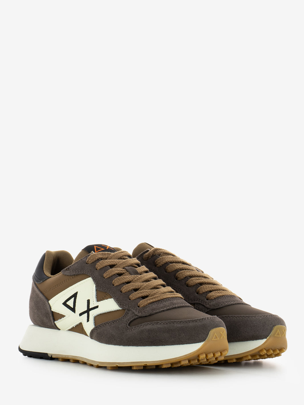 Jaki bicolor marrone