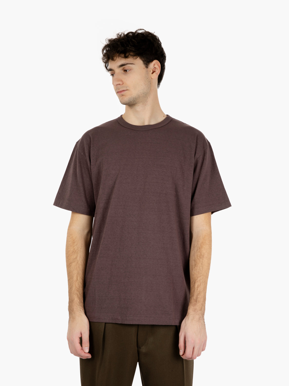 Haleiwa SS t-shirt raisin