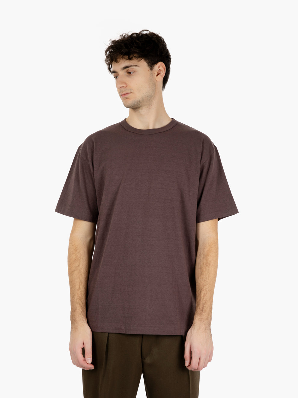 Haleiwa SS t-shirt raisin