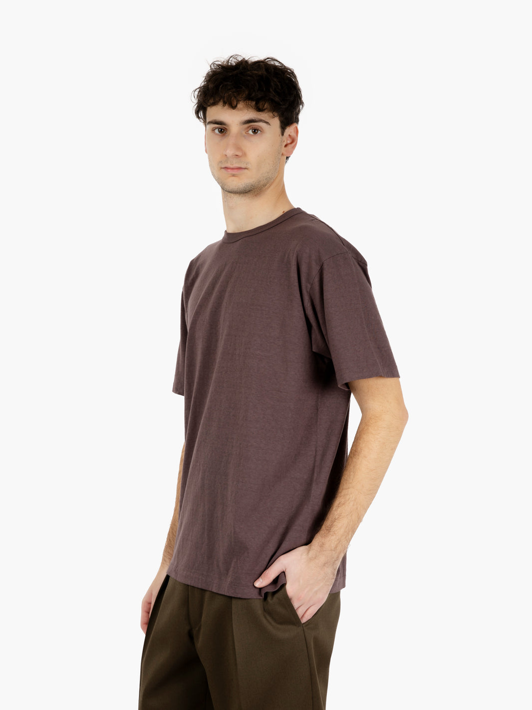 Haleiwa SS t-shirt raisin