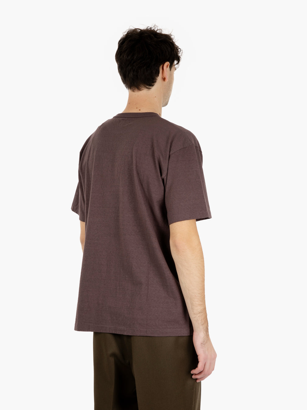 Haleiwa SS t-shirt raisin