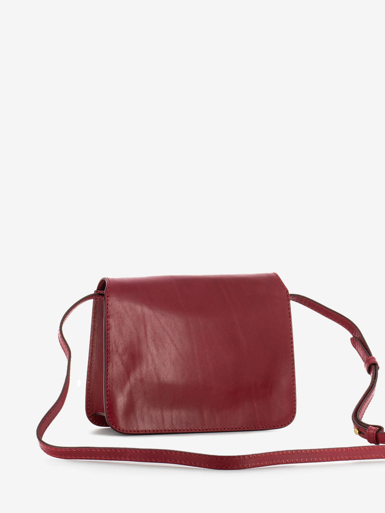 THE BRIDGE - Borsa Crossbody Lucrezia Berry / Gold