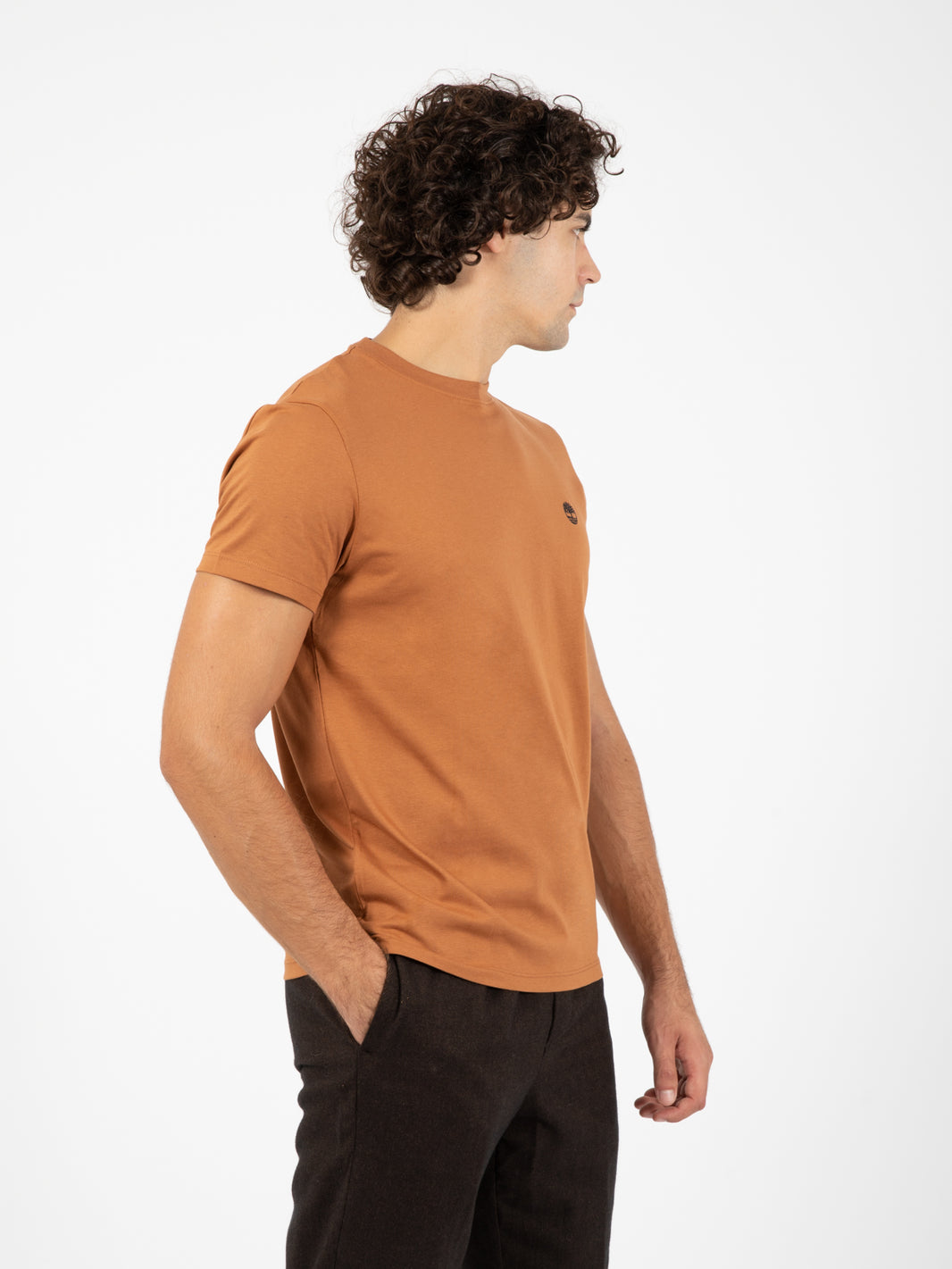 Short Sleeve Tee Argan