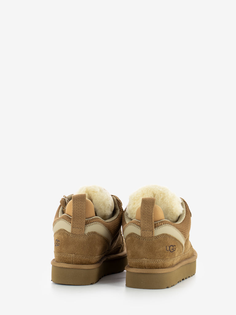 UGG - Sneakers lowmel chestnut