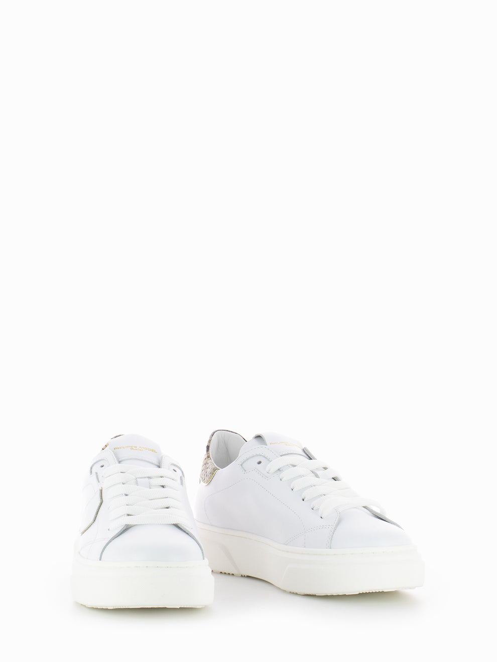 Temple Veau python white / brown / gold