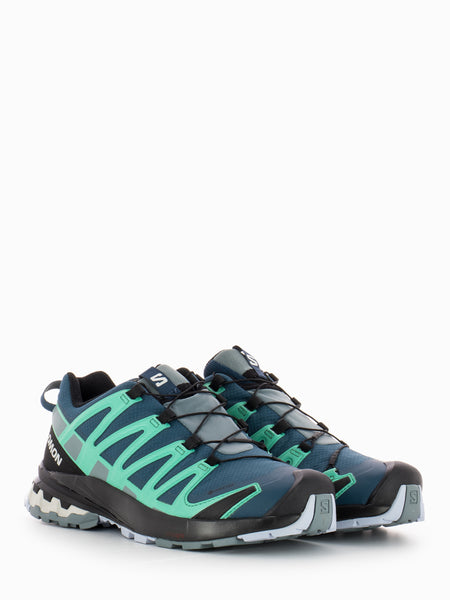 salomon-xa-pro-3d-v8-gtx-w-