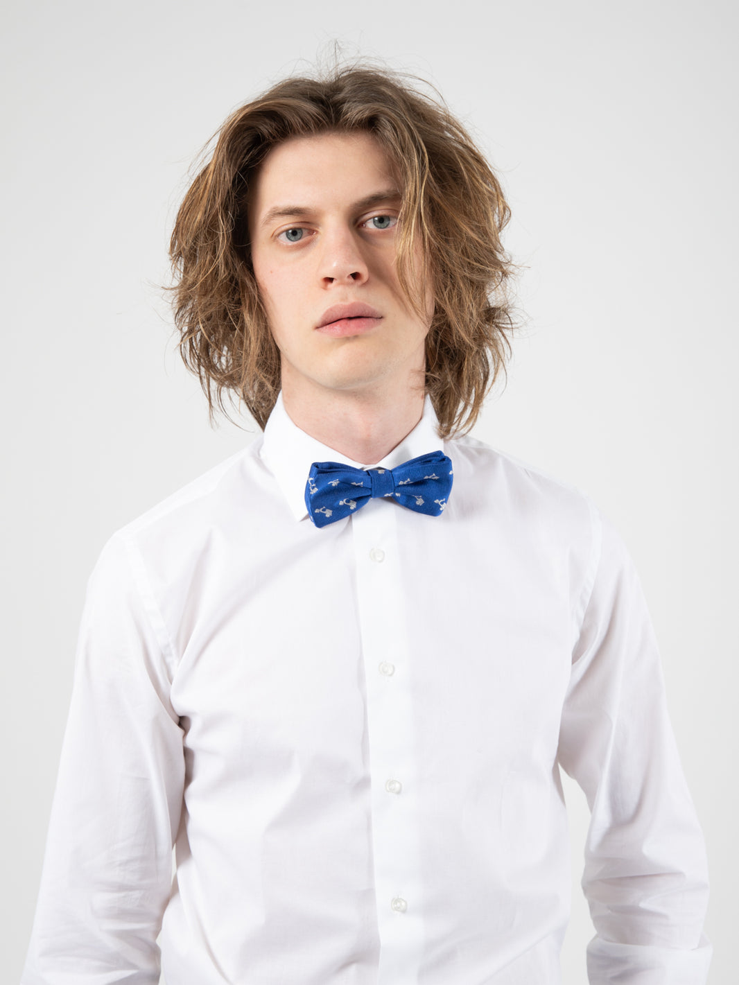 Royal / Silver Wasp Bow Tie