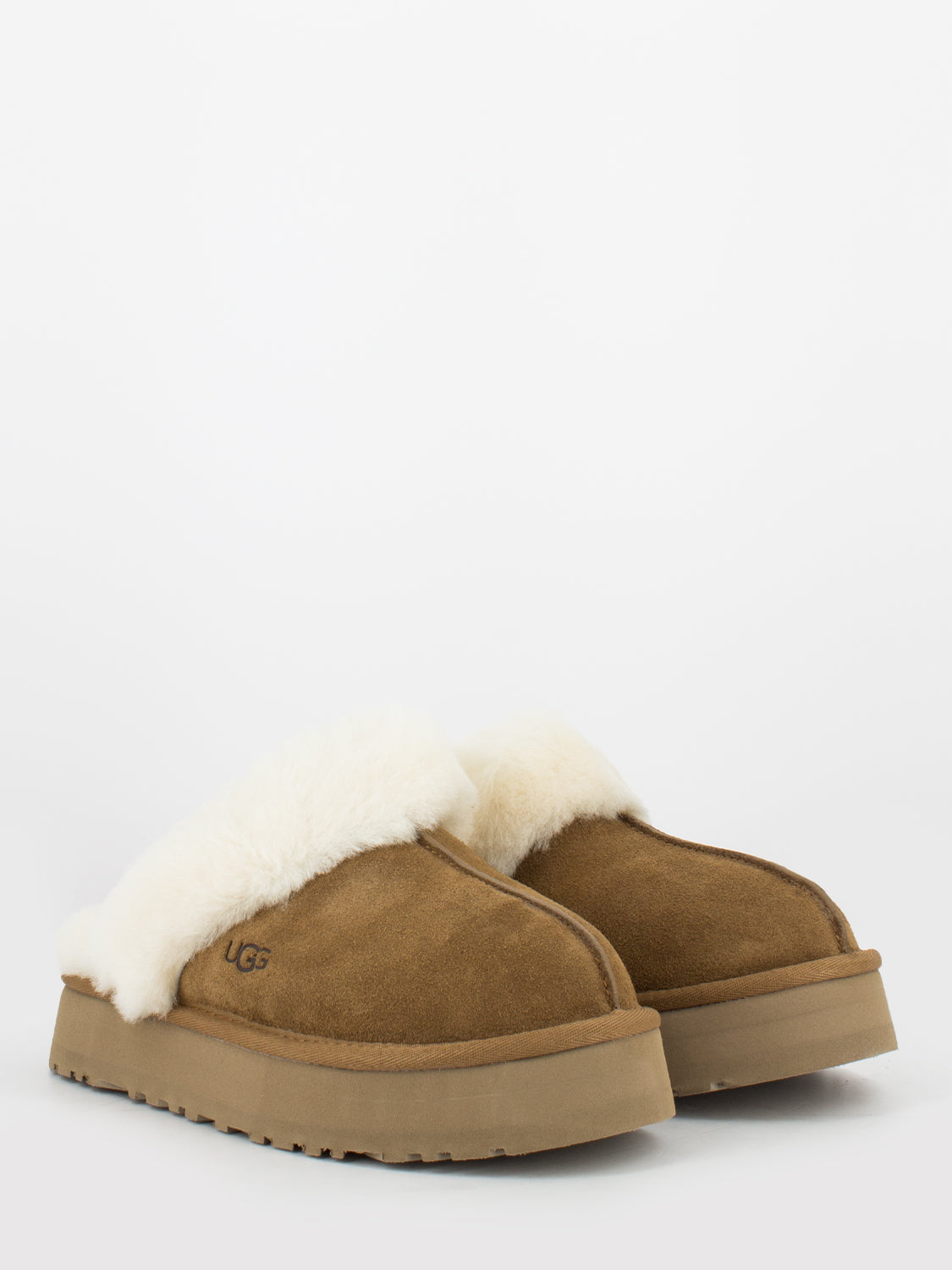 W Disquette chestnut bordo montone