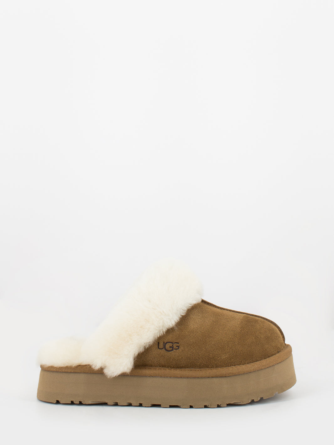 W Disquette chestnut bordo montone