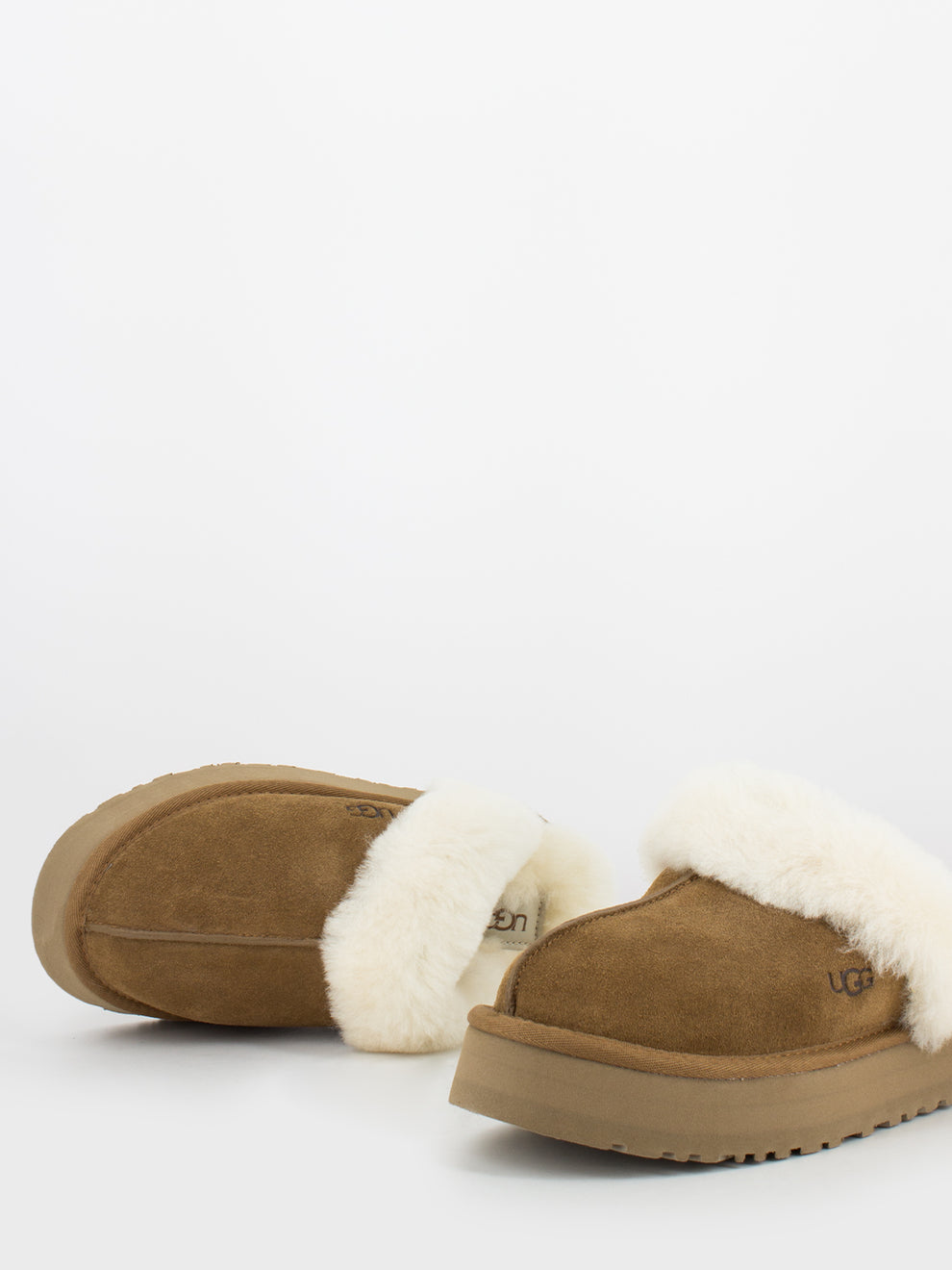 W Disquette chestnut bordo montone
